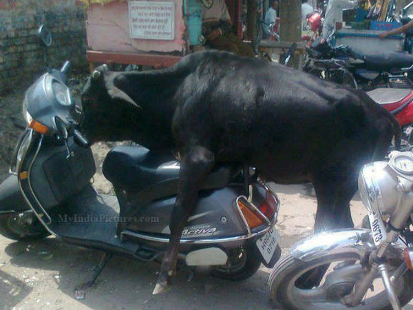 പതിനാറു വയതിനിലേ...