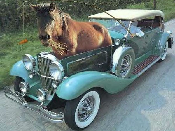 അപ്പിയിടാന്‍ നേരമില്ലാത്ത ജീവിതം!