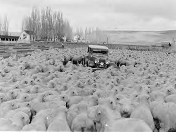 അപ്പിയിടാന്‍ നേരമില്ലാത്ത ജീവിതം!