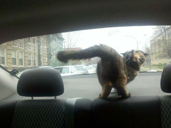 പാപത്തിൻറെ പങ്കു പറ്റുവിൻ