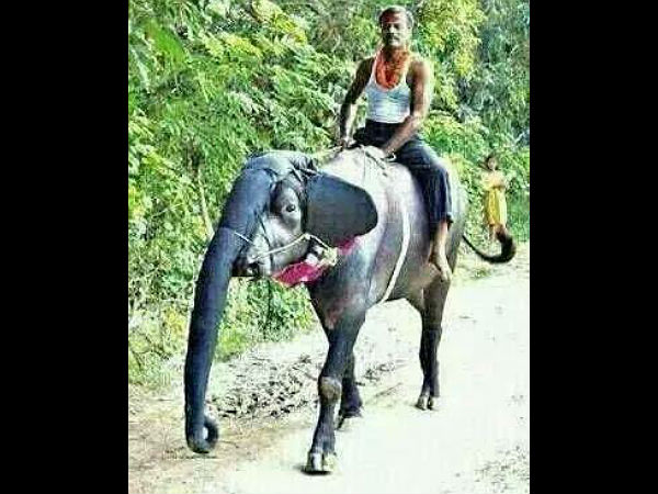 പാപത്തിൻറെ പങ്കു പറ്റുവിൻ