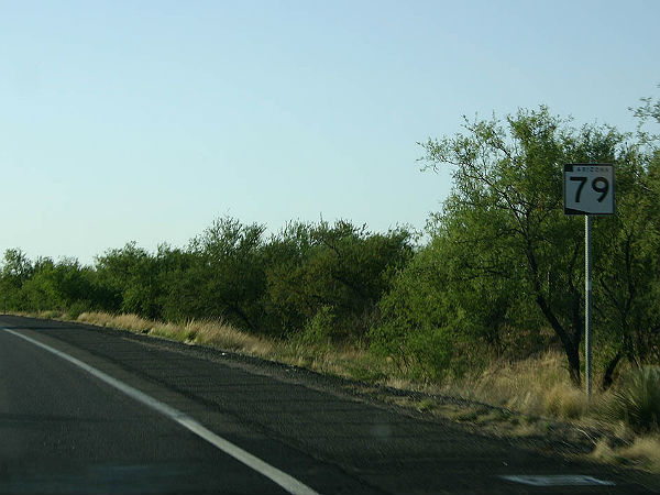 7. അരിസോണ