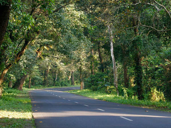 10. എന്‍എച്ച് 31