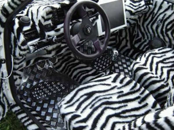 കാറിന്റെ ഇന്റീരിയറിന് ഭംഗി കൂട്ടുന്ന ഭയങ്ങരന്മാര്‍