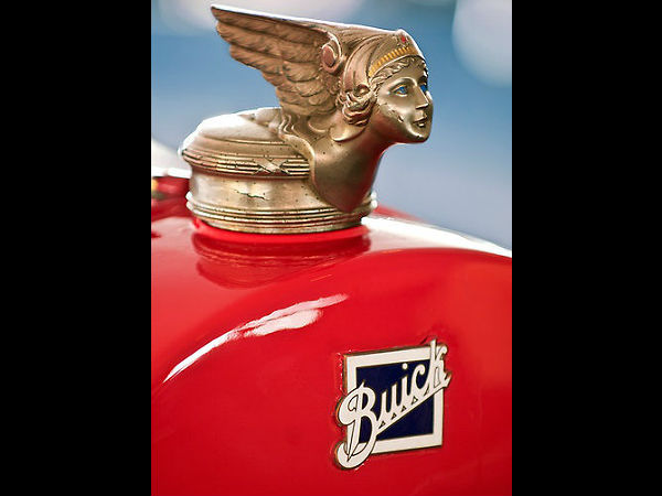 വിചിത്രരൂപം പൂണ്ട ഹൂഡ് ഓര്‍ണമെന്റുകള്‍