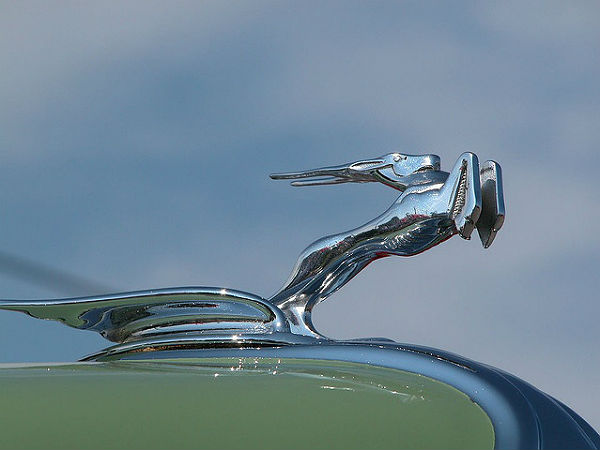 വിചിത്രരൂപം പൂണ്ട ഹൂഡ് ഓര്‍ണമെന്റുകള്‍