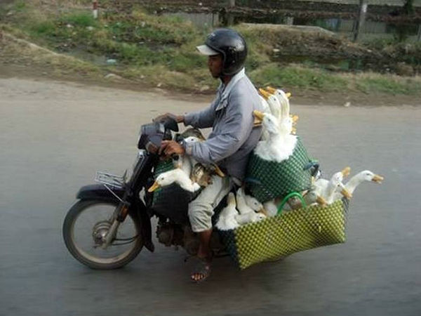 മറ്റുള്ളവരുടെ അരിപ്രശ്‌നം നമ്മുടെ ചിരിപ്രശ്‌നമായി മാറുമ്പോള്‍