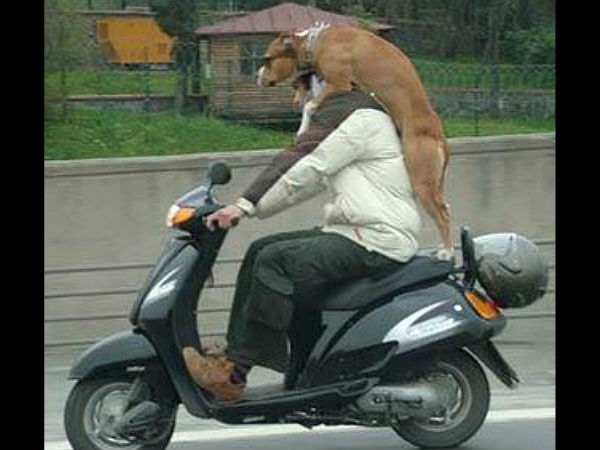 മറ്റുള്ളവരുടെ അരിപ്രശ്‌നം നമ്മുടെ ചിരിപ്രശ്‌നമായി മാറുമ്പോള്‍