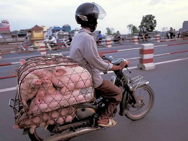 മറ്റുള്ളവരുടെ അരിപ്രശ്‌നം നമ്മുടെ ചിരിപ്രശ്‌നമായി മാറുമ്പോള്‍