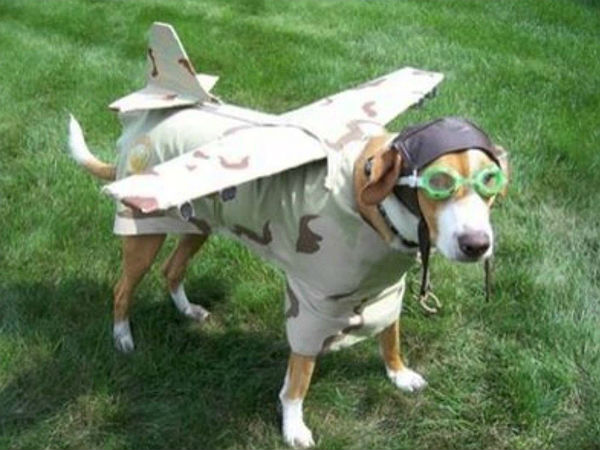 മറ്റുള്ളവരെ ചിരിപ്പിക്കുന്ന മസിലു പിടിത്തക്കാര്‍