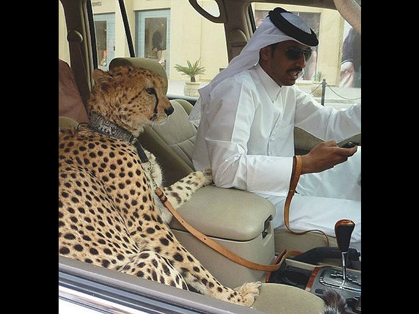 ദുബൈ നിരത്തുകളിലെ അത്ഭുതക്കാഴ്ചകള്‍