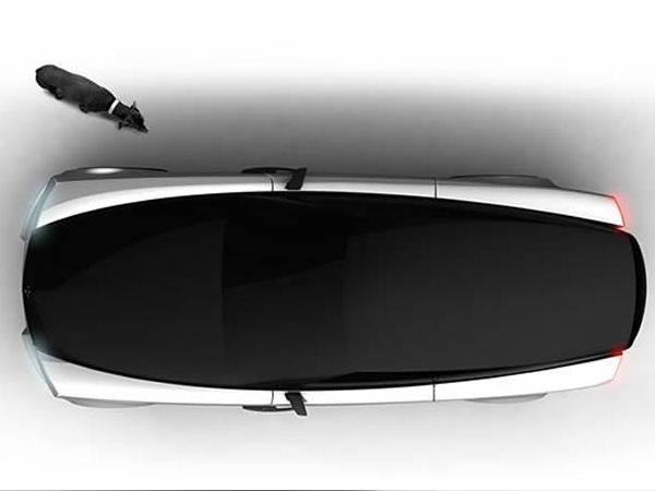 പട്ടികള്‍ക്കായി ഒരു റോള്‍സ് റോയ്‌സ് കാര്‍