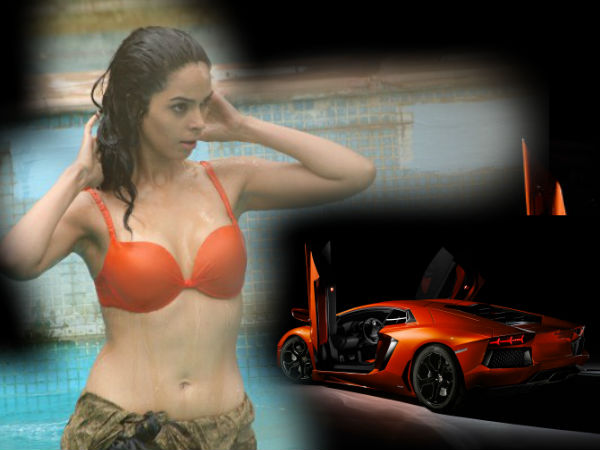 മല്ലിക ഷെഹരാവത്തിന് ആരാണ് ലാമ്പോര്‍ഗിനി സമ്മാനിച്ചത്?