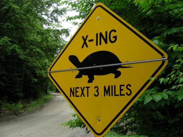 18. മൃഗങ്ങള്‍