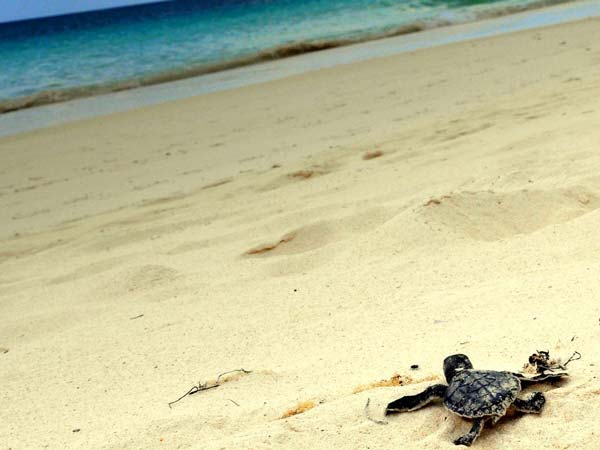 10. ഗാല്‍ജിബാഗ ബീച്ച്