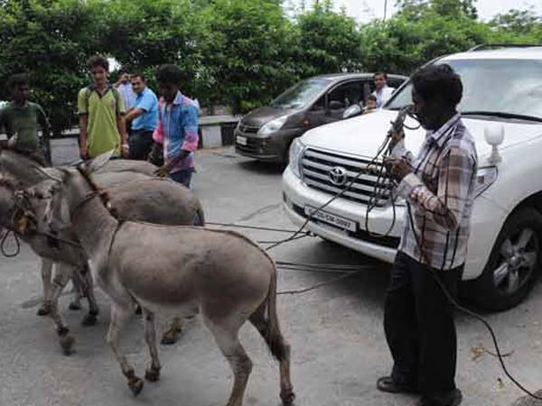 ലാന്‍ഡ് ക്രൂയിസറില്‍ കഴുതകളെ കെട്ടിവലിച്ച ഗുജറാത്തി