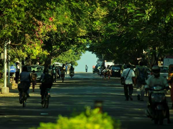 ബസന്ത് അവെന്യൂ റോഡ് 