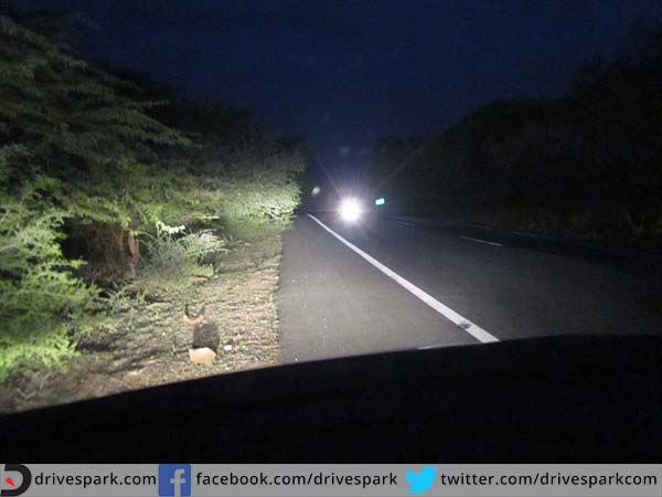 14. മര്യാദയില്ലാത്ത ലൈറ്റടി