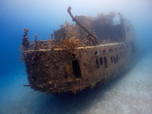 പ്രിൻസ് ആൽബർട്ട്