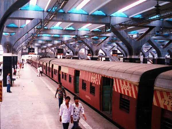 48.ആനകള്‍