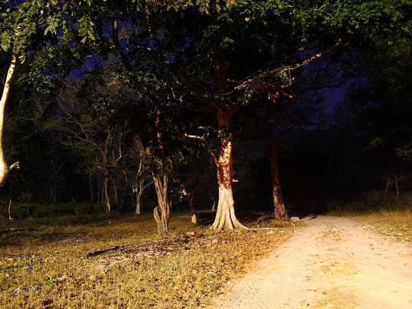 ദില്ലി കണ്ടോൻമെന്റ് റോഡ്