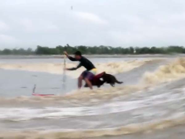 മനുഷ്യനും മൃഗവും ചോർന്നുള്ളൊരു സർഫിംഗ് റെക്കോർഡ്