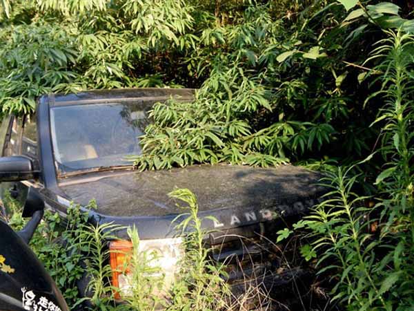 നിഗൂഢതകളുടെ കാടുകേറി കിടക്കുന്ന വൻ കാർ ശ്മശാനം