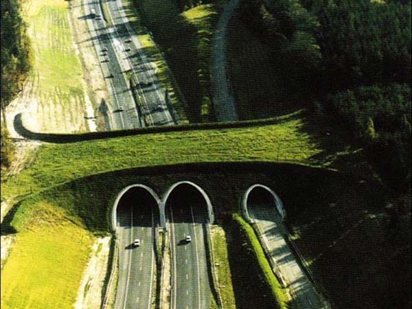 2. ദി നെതർ ലാന്റ്സ്