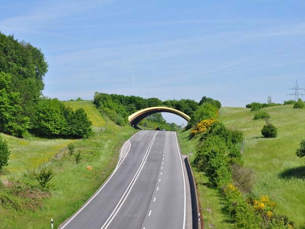 3. ബി38-ജർമ്മനി