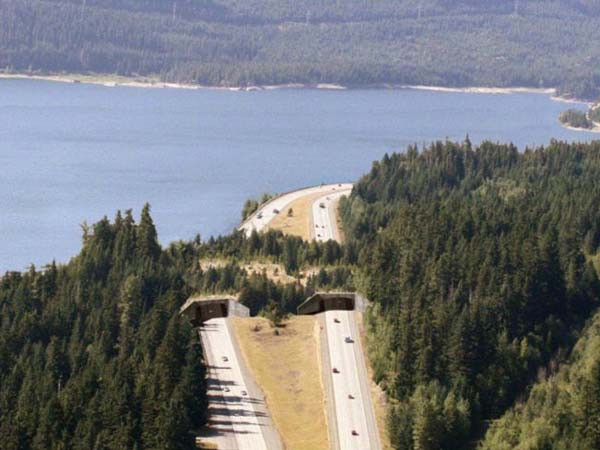 10. കെച്ചുലെസ് ലെയിക്ക് ടണൽ, യുഎസ്എ