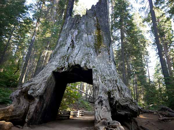 കൂടുതൽ വായിക്കൂ