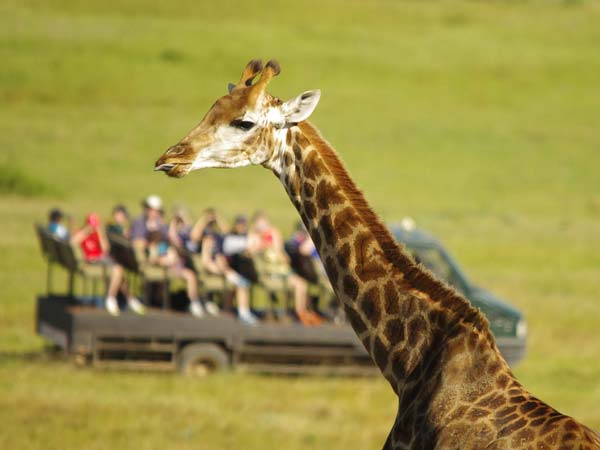 3. സൗത്ത് ആഫ്രിക്ക