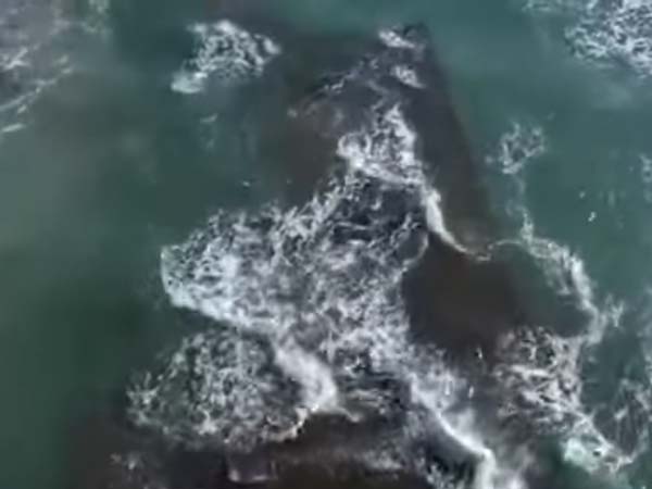 ദുരൂഹതകൾക്ക് വിരാമം; 80 വർഷങ്ങളായി കാണാതായ കപ്പൽ തീരത്തടിഞ്ഞു