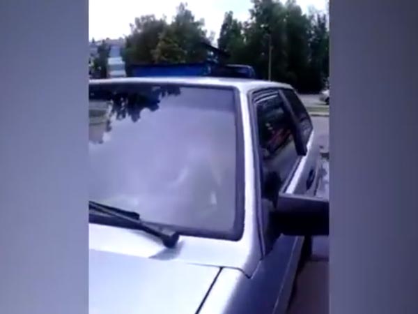 കാറിനകത്തിരുന്ന് ക്ഷമക്കെട്ട പട്ടി ചെയ്തതെന്ത്?