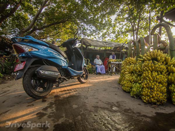 തൻജ്ജാവൂരിലെ പൊങ്കൽ വിശേഷങ്ങളുമായി വിഗോ...