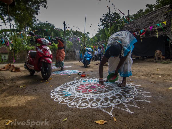 പൊങ്കൽ ഉത്സവ ലഹരിയിൽ വിഗോ...