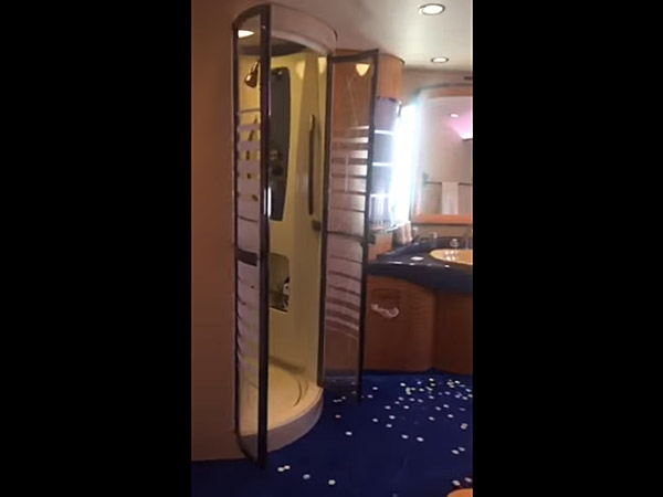 ആഡംബരമെന്നു പറഞ്ഞാൽ ദാ ഇതാണ്; അബുദാബി രാജകുമാരന്റെ വിമാനത്തിലെ ആഡംബരത നിങ്ങളെ ഞെട്ടിക്കൂം!!! 