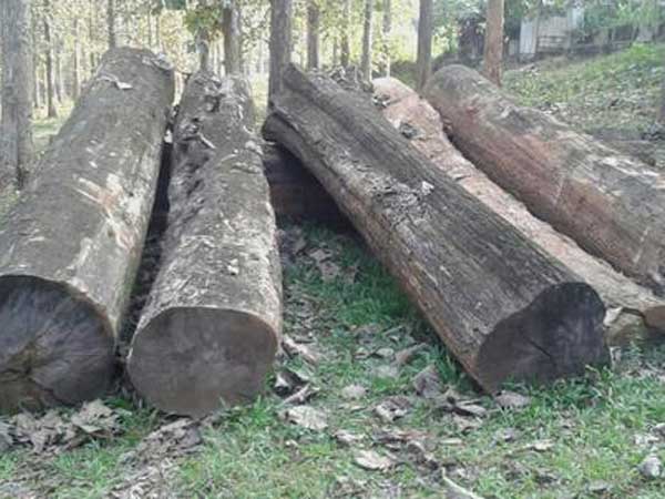 റോള്‍സ് റോയ്‌സും കേരളവും തമ്മിലുള്ള ബന്ധം ഇങ്ങനെ