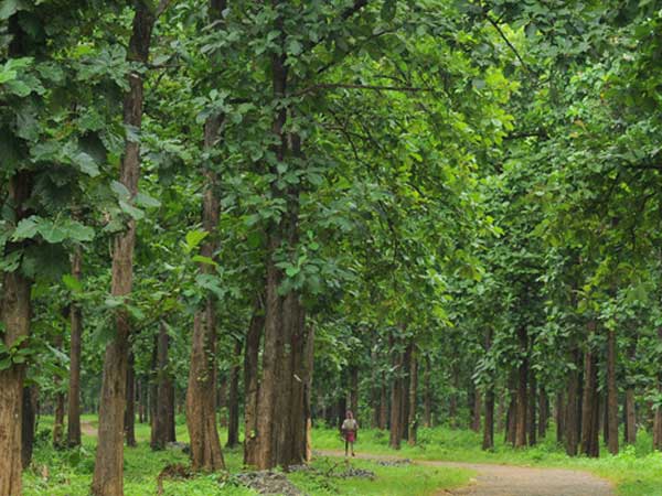 റോള്‍സ് റോയ്‌സും കേരളവും തമ്മിലുള്ള ബന്ധം ഇങ്ങനെ