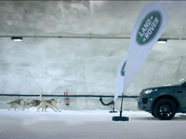 കുതിരശക്തി vs നായശക്തി; നായ്ക്കളോട് മത്സരിച്ച ലാന്‍ഡ് റോവര്‍ - വീഡിയോ