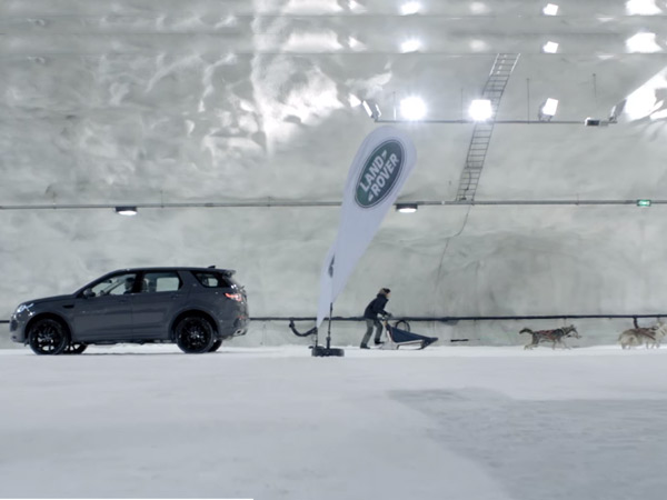 കുതിരശക്തി vs നായശക്തി; നായ്ക്കളോട് മത്സരിച്ച ലാന്‍ഡ് റോവര്‍ - വീഡിയോ