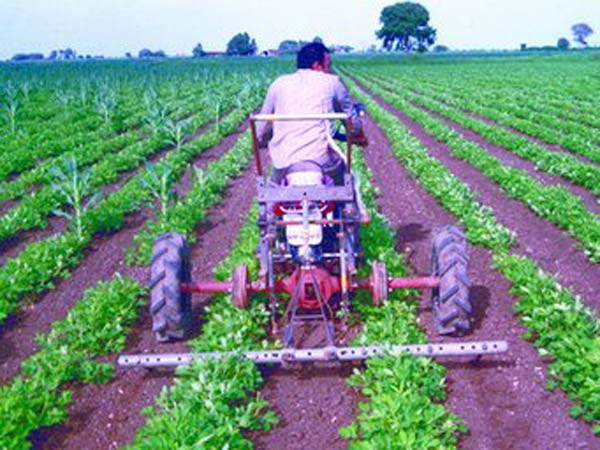 ട്രാക്ടര്‍ വാങ്ങാന്‍ പണമില്ല; ഗുജറാത്തി കര്‍ഷകന്‍ നിര്‍മ്മിച്ചത്, ബുള്ളറ്റ് കൊണ്ടൊരു ട്രാക്ടര്‍!