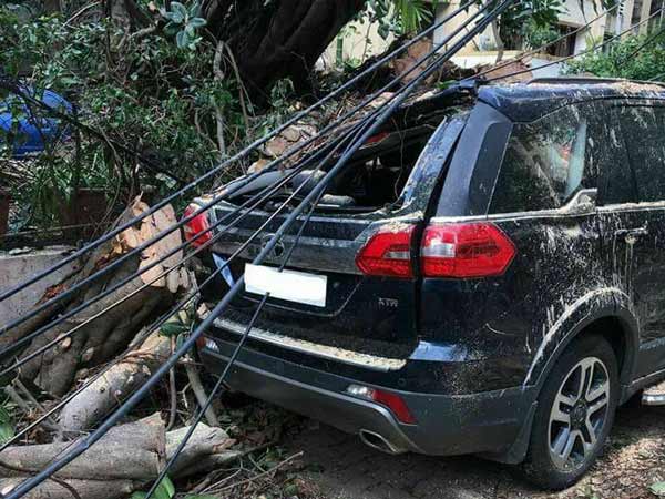 ടാറ്റയുടേത് കേവലം വീരവാദമല്ല; കടപുഴകി വീണ ഭീമന്‍ മരത്തിനെയും അതിജീവിച്ച് ഹെക്‌സ