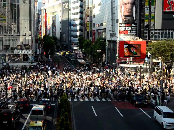 3D സീബ്രാ ക്രോസിംഗ് - ഇത്, റോഡ് അപകടങ്ങള്‍ക്കുള്ള പുതിയ പരിഹാരമോ?