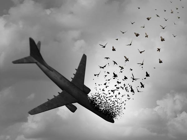 പക്ഷി വന്നിടിച്ചാല്‍ വിമാനം തകരുമോ?