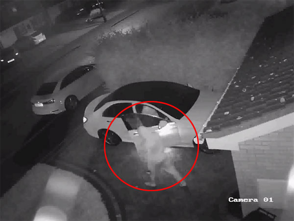 മെര്‍സിഡീസ് കാര്‍ മോഷ്ടിക്കപ്പെട്ടത് 50 സെക്കന്‍ഡ് കൊണ്ട്; ഇപ്പോള്‍ മോഷണവും 'സ്മാര്‍ട്ടായി'