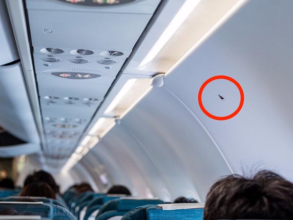 അത്ഭുതപ്പെടേണ്ട, വിമാനങ്ങളില്‍ കണ്ടുവരുന്ന ചില രസകരമായ പതിവുകള്‍