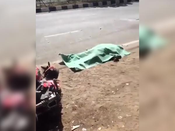 ഹെല്‍മറ്റ് ധരിച്ചു, സ്ട്രാപ് ഇട്ടില്ല; പോത്തിനെ ഇടിച്ചു ഡ്യുക്കാട്ടി റൈഡര്‍ കൊല്ലപ്പെട്ടു