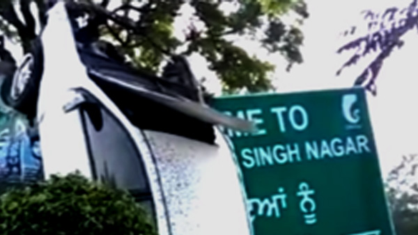 പശുവിനെ കണ്ടു വെട്ടിച്ചു, പോസ്റ്റിലിടിച്ച കാര്‍ നിന്നത് കുത്തനെ!