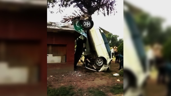 പശുവിനെ കണ്ടു വെട്ടിച്ചു, പോസ്റ്റിലിടിച്ച കാര്‍ നിന്നത് കുത്തനെ!